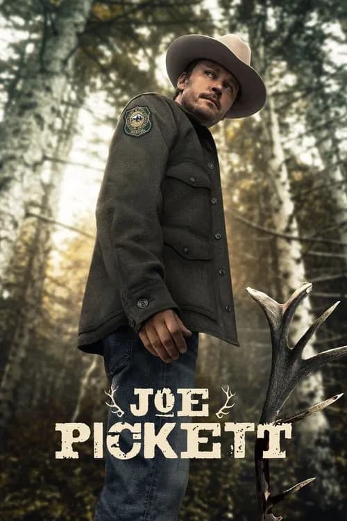 Poster van Joe Pickett